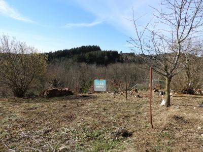 Acheter Terrain Saint-remy-sur-durolle 18000 euros