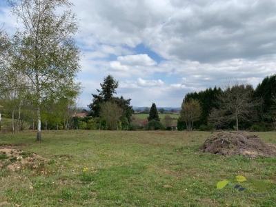 Annonce Vente Terrain Saint-denis-des-murs 87