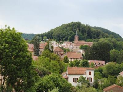 For sale Bruyeres 6 rooms 99 m2 Vosges (88600) photo 1