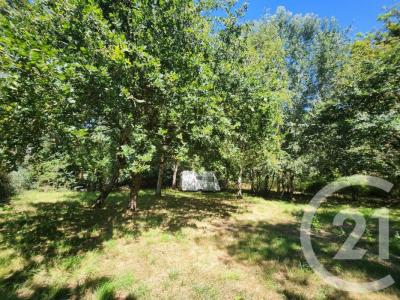 For sale Grayan-et-l'hopital 1197 m2 Gironde (33590) photo 3