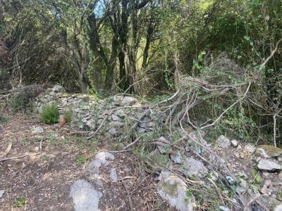 For sale Ocana 9455 m2 Corse (20117) photo 3