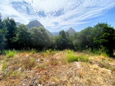 For sale Ocana 9455 m2 Corse (20117) photo 4