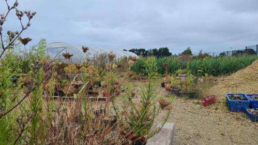 For sale Locquirec Finistere (29241) photo 0