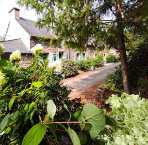 For sale Plumelec 12 rooms 483 m2 Morbihan (56420) photo 2