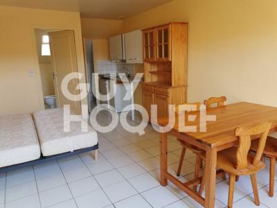 For rent Gurgy 1 room 20 m2 Yonne (89250) photo 0