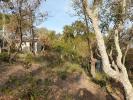 Vente Terrain Ceret  20000 m2