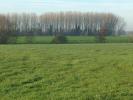 Vente Terrain Thun-l'eveque  411 m2