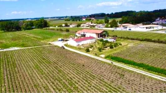 For sale Cissac-medoc 2 rooms 32767 m2 Gironde (33250) photo 2