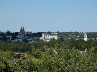 For sale Beaulieu-les-loches 13 rooms 290 m2 Indre et loire (37600) photo 3