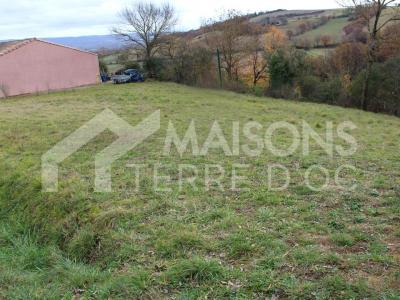 Annonce Vente Maison Revel 31