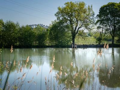 For sale Bordeaux 10 rooms 366 m2 Gironde (33000) photo 4