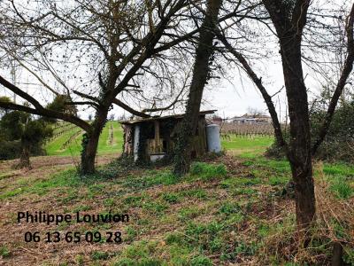 For sale Monsegur 7 rooms 124 m2 Gironde (33580) photo 1