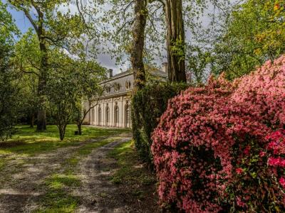 For sale Bordeaux 14 rooms 351 m2 Gironde (33000) photo 0