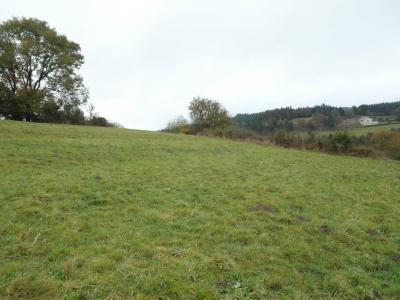 For sale Saint-victor-malescours 2800 m2 Haute loire (43140) photo 0