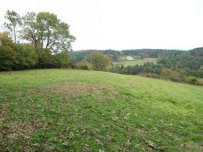 Acheter Terrain 2800 m2 Saint-victor-malescours