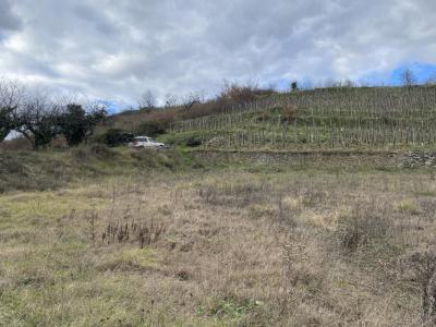 Acheter Terrain Chapelle-de-surieu Isere