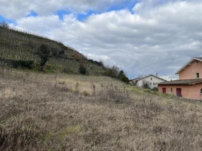 Acheter Terrain Chapelle-de-surieu 135000 euros