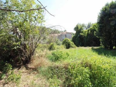 For sale Saint-gely-du-fesc 442 m2 Herault (34980) photo 4