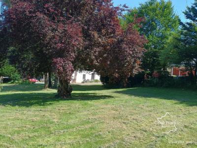 Annonce Vente 10 pices Maison Marly-gomont 02