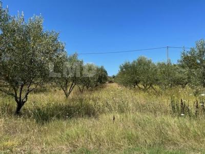 For sale Massillargues-attuech 7460 m2 Gard (30140) photo 4