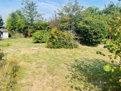 Annonce Vente Terrain Saint-romain-de-jalionas 38