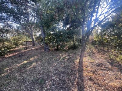 For sale Puget-sur-argens 647 m2 Var (83480) photo 1