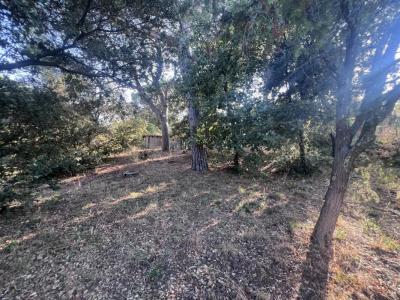 For sale Puget-sur-argens 647 m2 Var (83480) photo 2