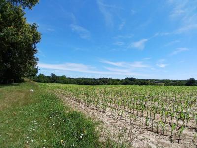 For sale Mugron 566 m2 Landes (40250) photo 0