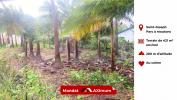 For sale Land Saint-joseph  421 m2