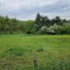 For sale Land Saint-romain-d'ay  1694 m2