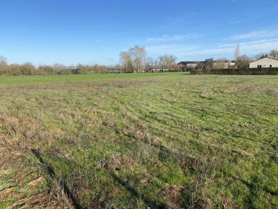 For sale Semalens 1300 m2 Tarn (81570) photo 0