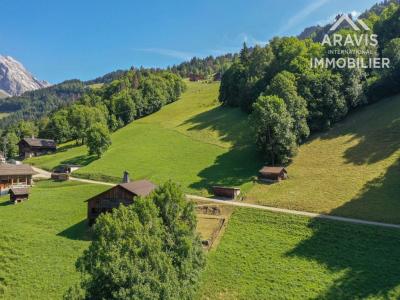 Annonce Vente Terrain Grand-bornand 74