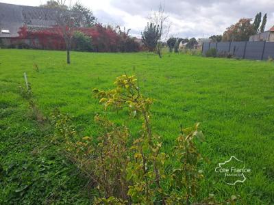 Annonce Vente Terrain Marly-gomont 02