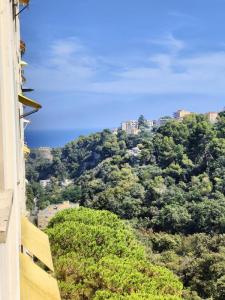 For sale Nice 2 rooms 42 m2 Alpes Maritimes (06200) photo 0