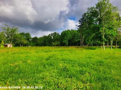 Acheter Terrain Chazelles Charente