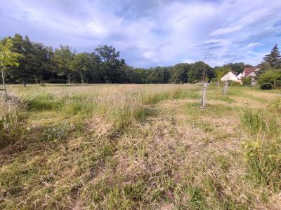 For sale Chaumont-sur-loire 11267 m2 Loir et cher (41150) photo 2