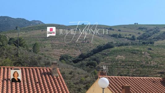 Acheter Maison 84 m2 Banyuls-sur-mer