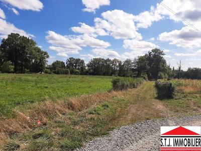 For sale Saint-junien 1525 m2 Haute vienne (87200) photo 2