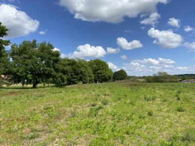 For sale Saugnac-et-cambran 750 m2 Landes (40180) photo 2