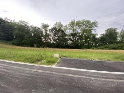 For sale Cauneille 778 m2 Landes (40300) photo 3