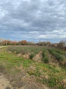 For sale Puygiron 310 m2 Drome (26160) photo 3