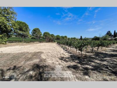 For sale Poilhes 5410 m2 Herault (34310) photo 0