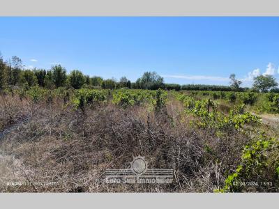 For sale Poilhes 3176 m2 Herault (34310) photo 0