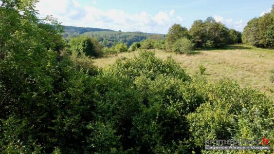 For sale Colroy-la-grande 1173 m2 Vosges (88490) photo 1