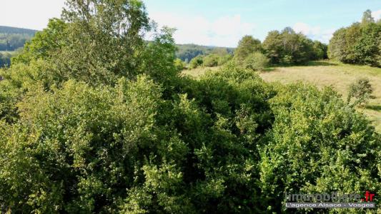 For sale Colroy-la-grande 1173 m2 Vosges (88490) photo 2