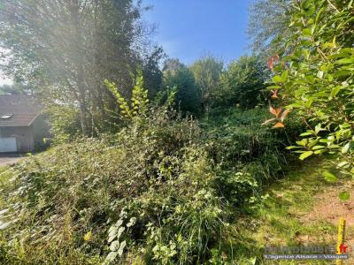 For sale Colroy-la-grande 1173 m2 Vosges (88490) photo 3