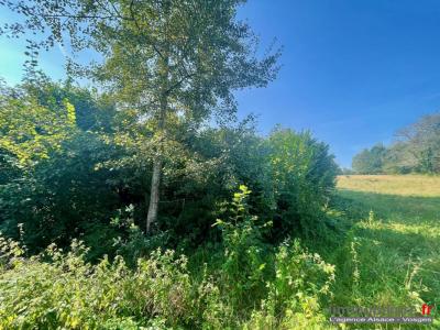 For sale Colroy-la-grande 1173 m2 Vosges (88490) photo 4