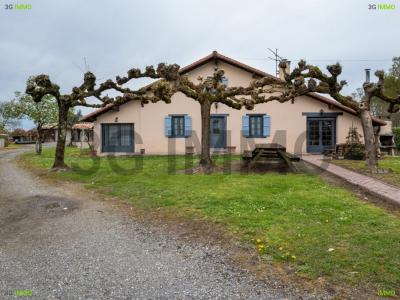 For sale Lamothe 5 rooms 147 m2 Landes (40250) photo 0