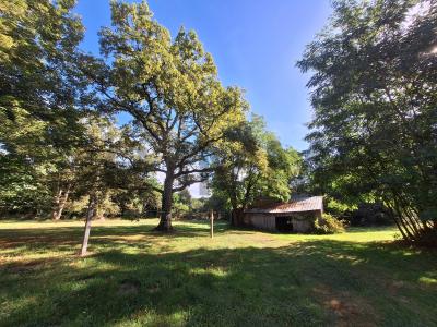 For sale Guesnes 6 rooms 160 m2 Vienne (86420) photo 3