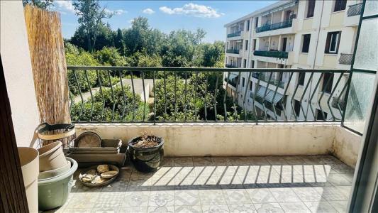 Annonce Location 3 pices Appartement Avignon 84